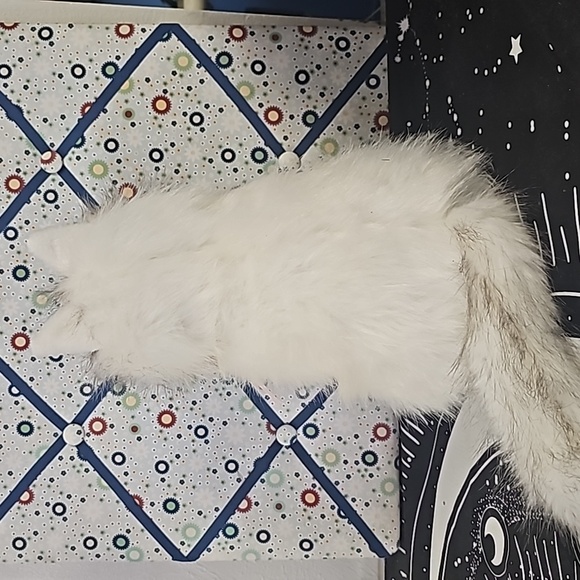 Plush stuffed white blue eyed siamese realistic cat 12 inches sitting - Picture 5 of 7